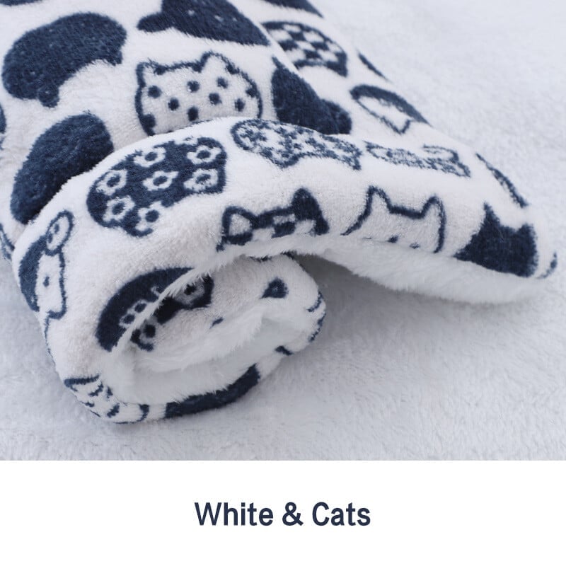 White with Cats